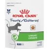 Royal Canin Veterinary Diet Adult Urinary Dog Treats