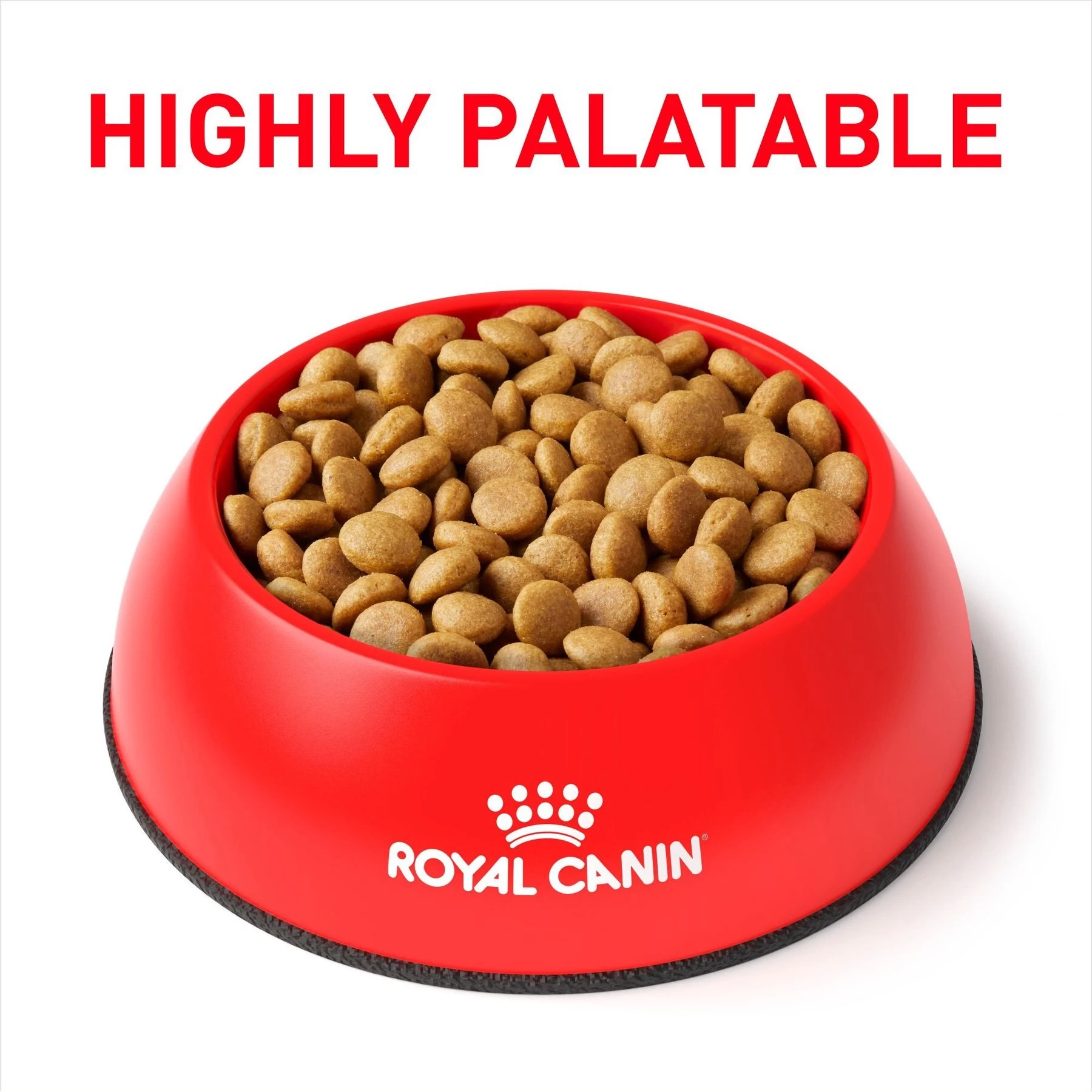 Royal Canin Veterinary Diet Adult Selected Protein PW Dry Dog Food - Image 3