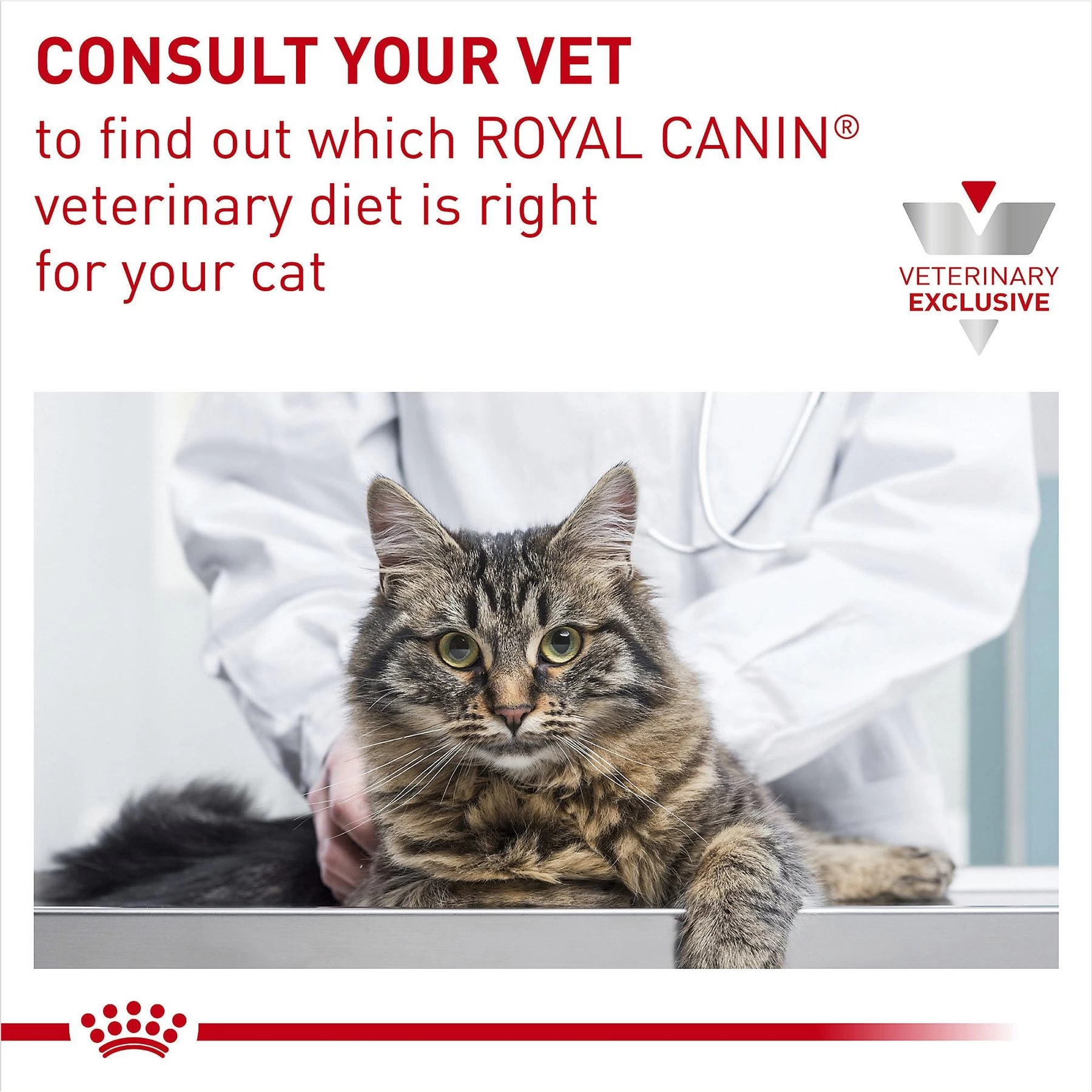 Royal Canin Veterinary Diet Adult Ultamino Dry Cat Food - Image 9