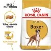 Royal Canin Boxer Dry Adult Dog Food