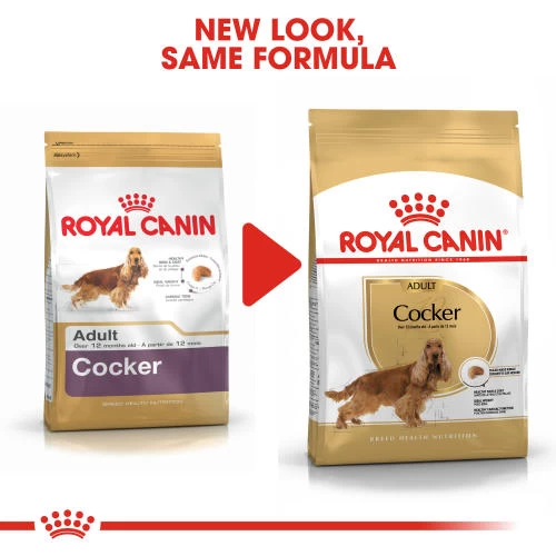 Royal Canin Cocker Spaniel Dry Adult Dog Food - Image 5