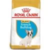 Royal Canin French Bulldog Dry Puppy Dog Food