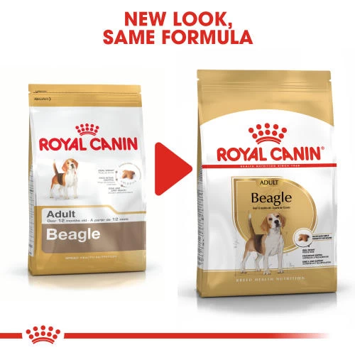 Royal Canin Beagle Dry Adult Dog Food - Image 3