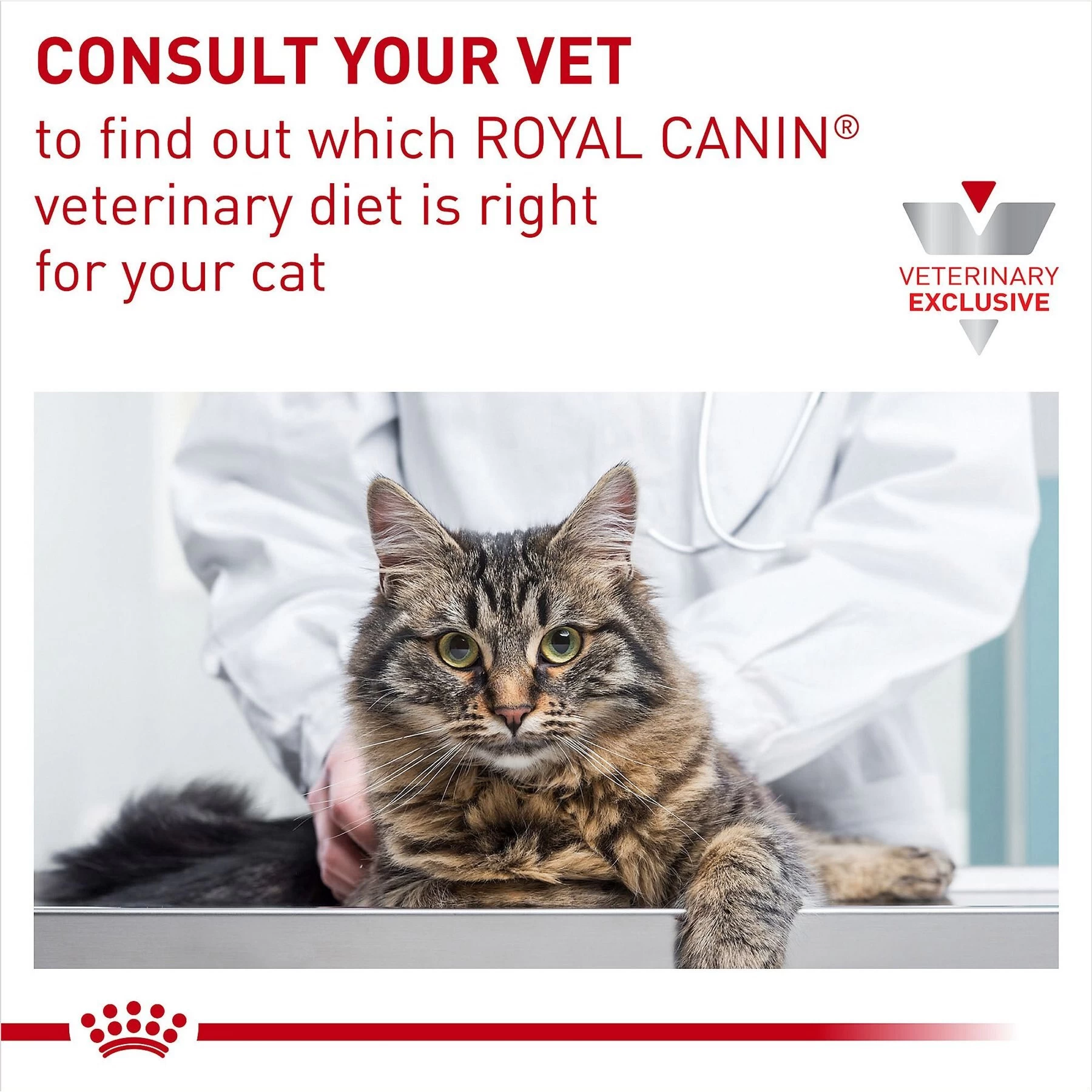 Royal Canin Veterinary Diet Adult Selected Protein PD Loaf Canned Cat Food - Image 7