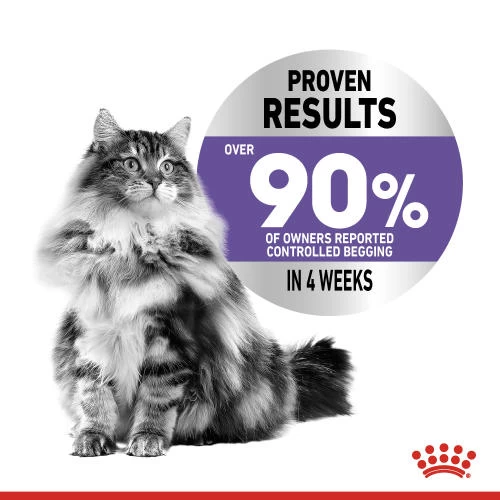 Royal Canin Appetite Control In Gravy Adult Cat Food - Image 3