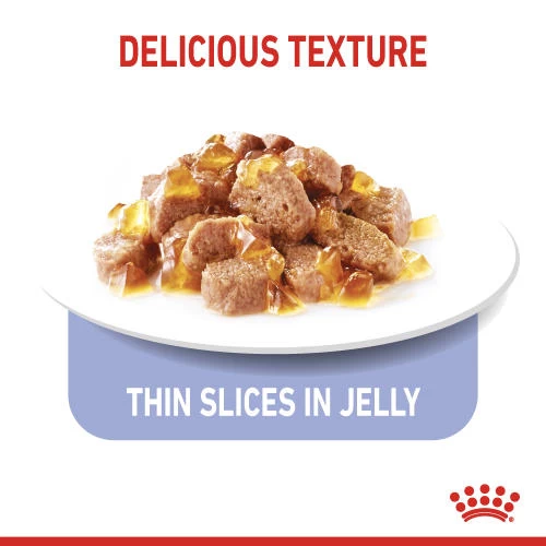 Royal Canin Appetite Control In Jelly Adult Cat Food - Image 4