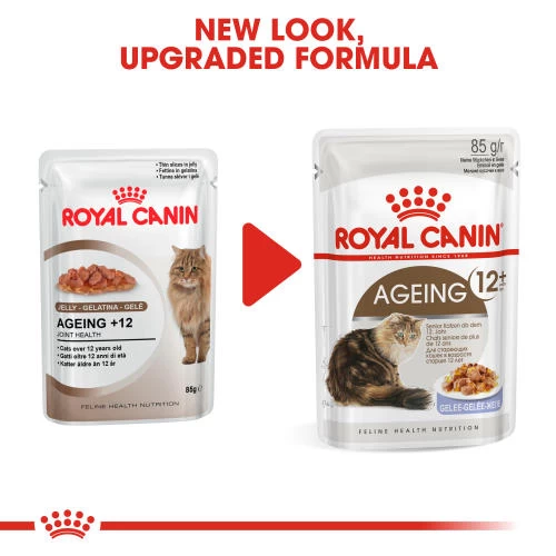 Royal Canin Ageing 12+ Adult Senior In Jelly Wet Cat Food Pouches - Image 2