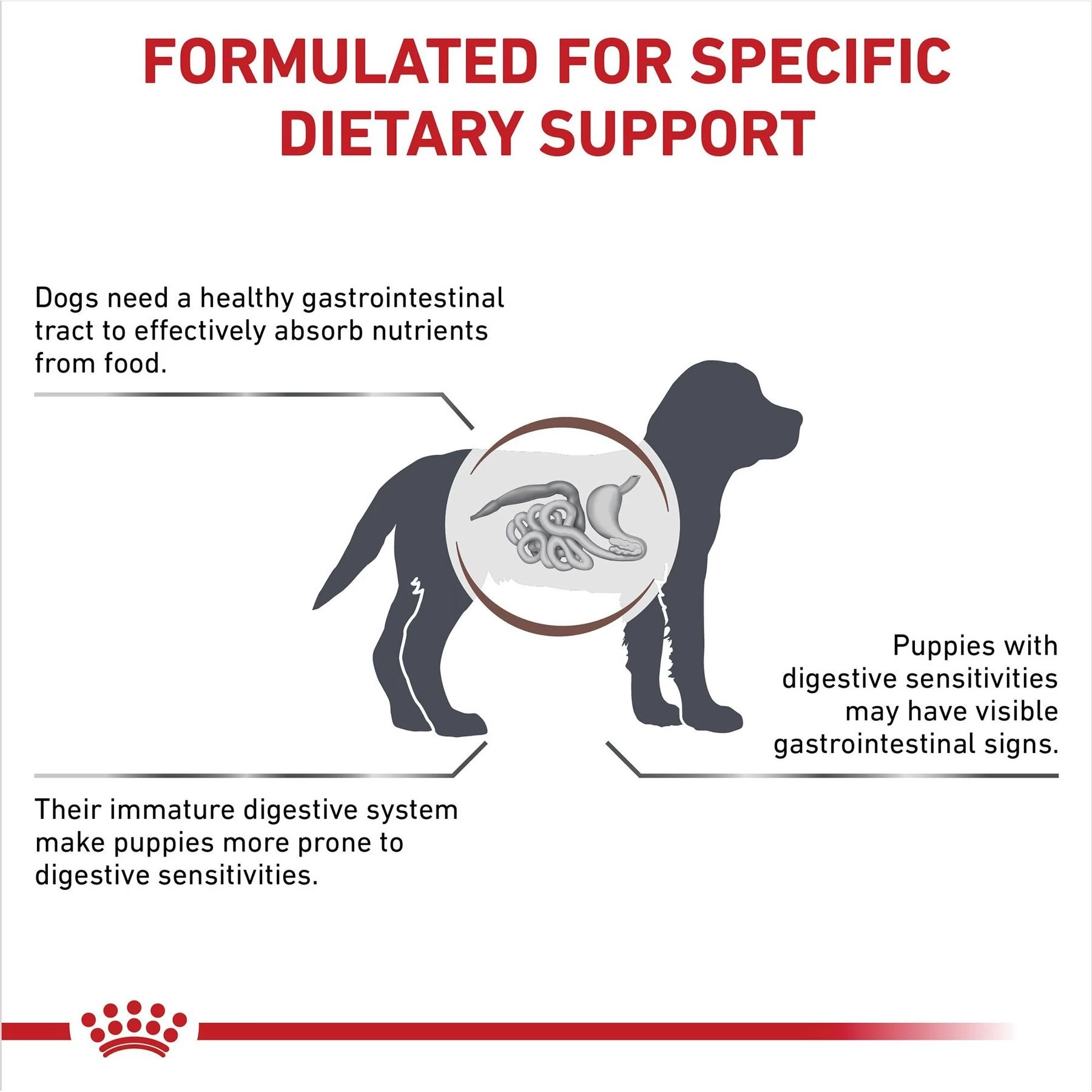 Royal Canin Veterinary Diet Puppy Gastrointestinal Dry Dog Food - Image 3