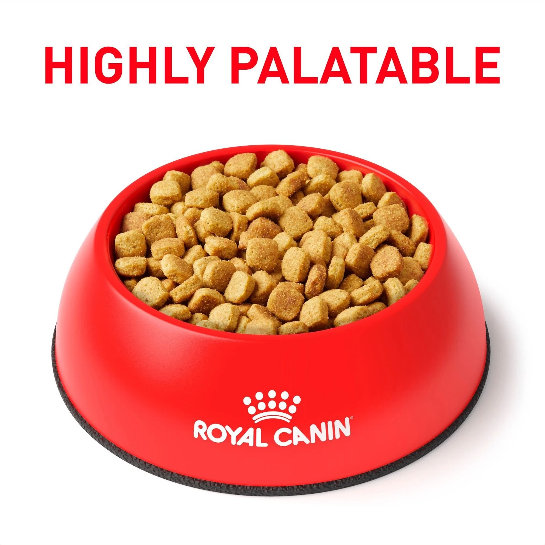 Royal Canin Veterinary Diet Adult Hydrolyzed Protein Moderate Calorie Dry Dog Food - Image 3