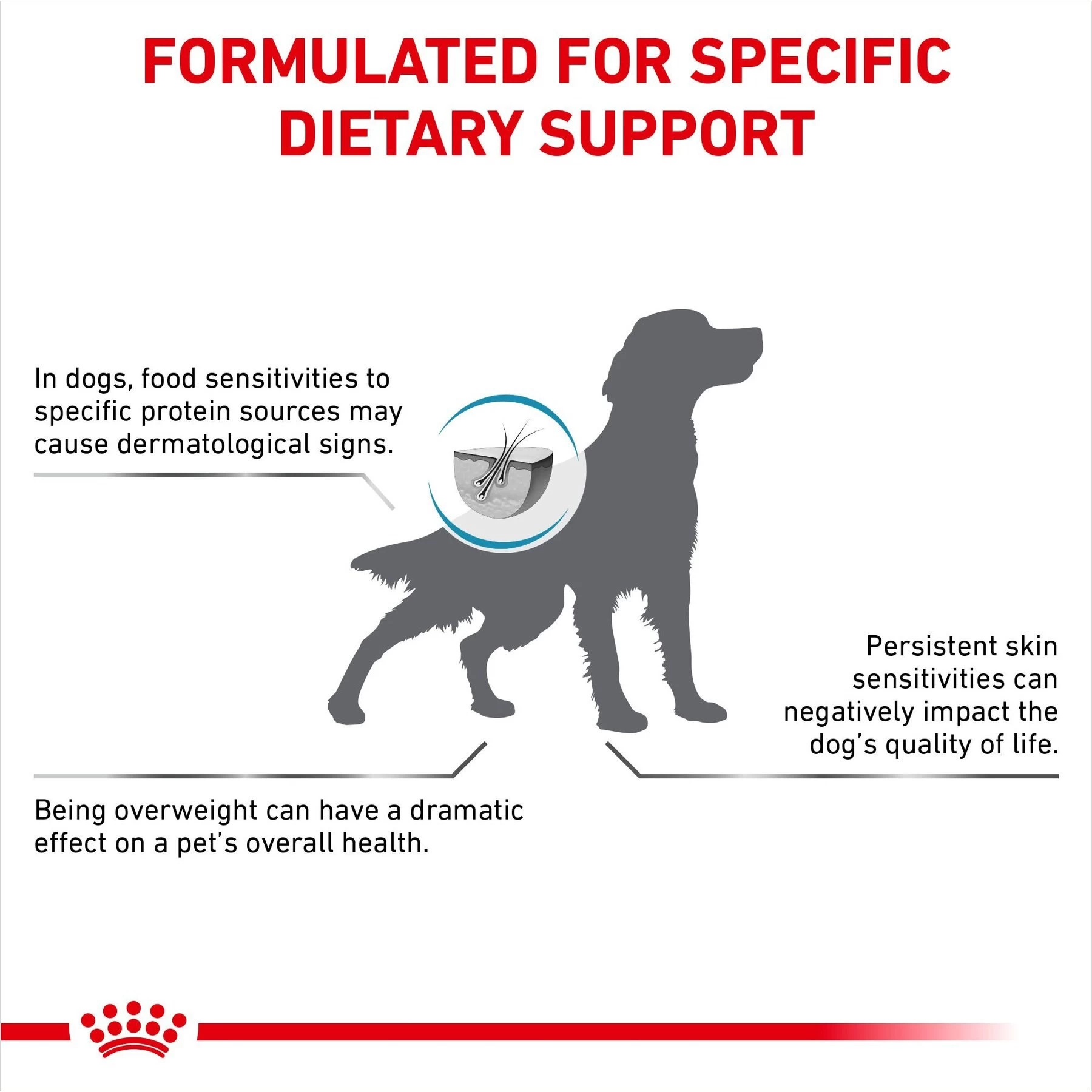 Royal Canin Veterinary Diet Adult Hydrolyzed Protein Moderate Calorie Dry Dog Food - Image 5