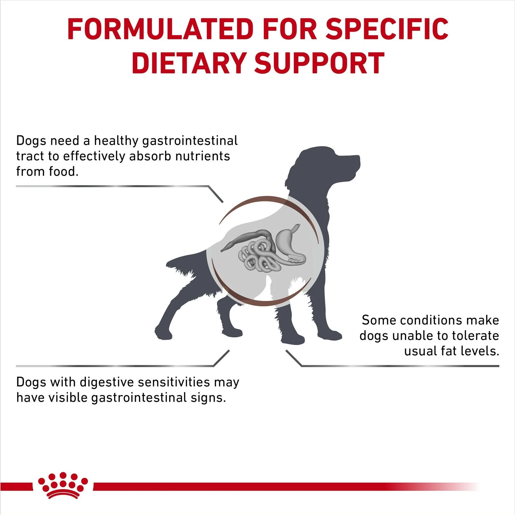 Royal Canin Veterinary Diet Adult Gastrointestinal Low Fat Dry Dog Food - Image 3