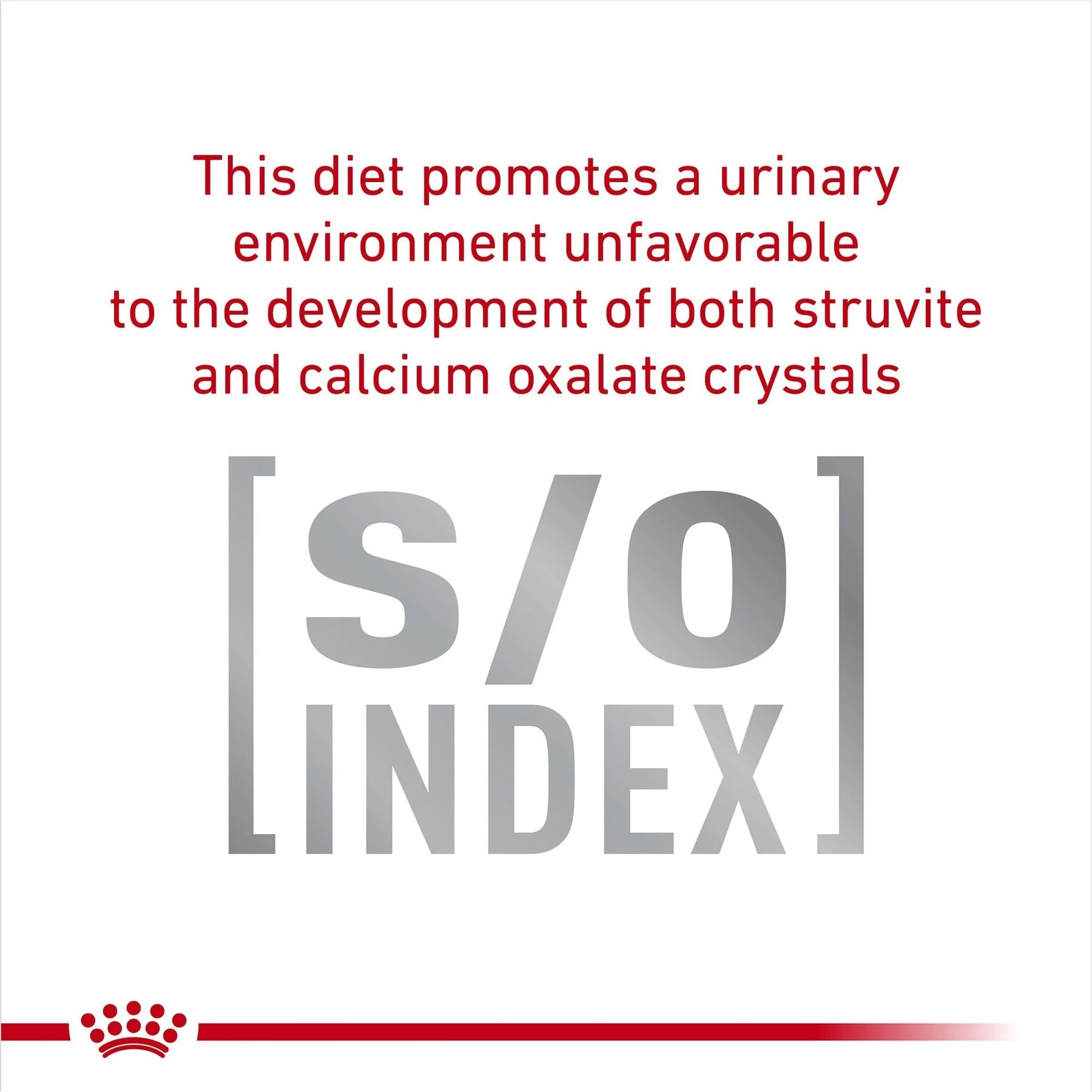 Royal Canin Veterinary Diet Adult Glycobalance Thin Slices In Gravy Canned Cat Food - Image 4