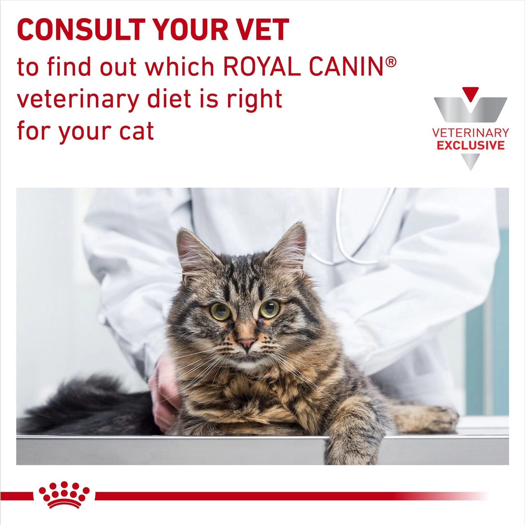 Royal Canin Veterinary Diet Adult Glycobalance Thin Slices In Gravy Canned Cat Food - Image 8