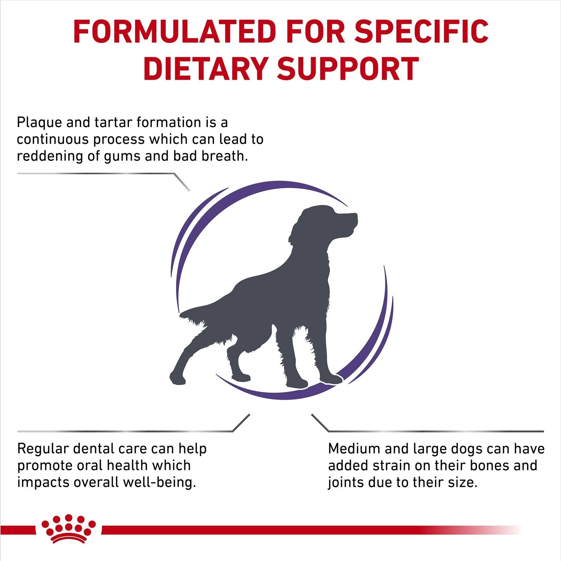 Royal Canin Veterinary Diet Adult Dental Medium & Large Breed Dry Dog Food - Image 3