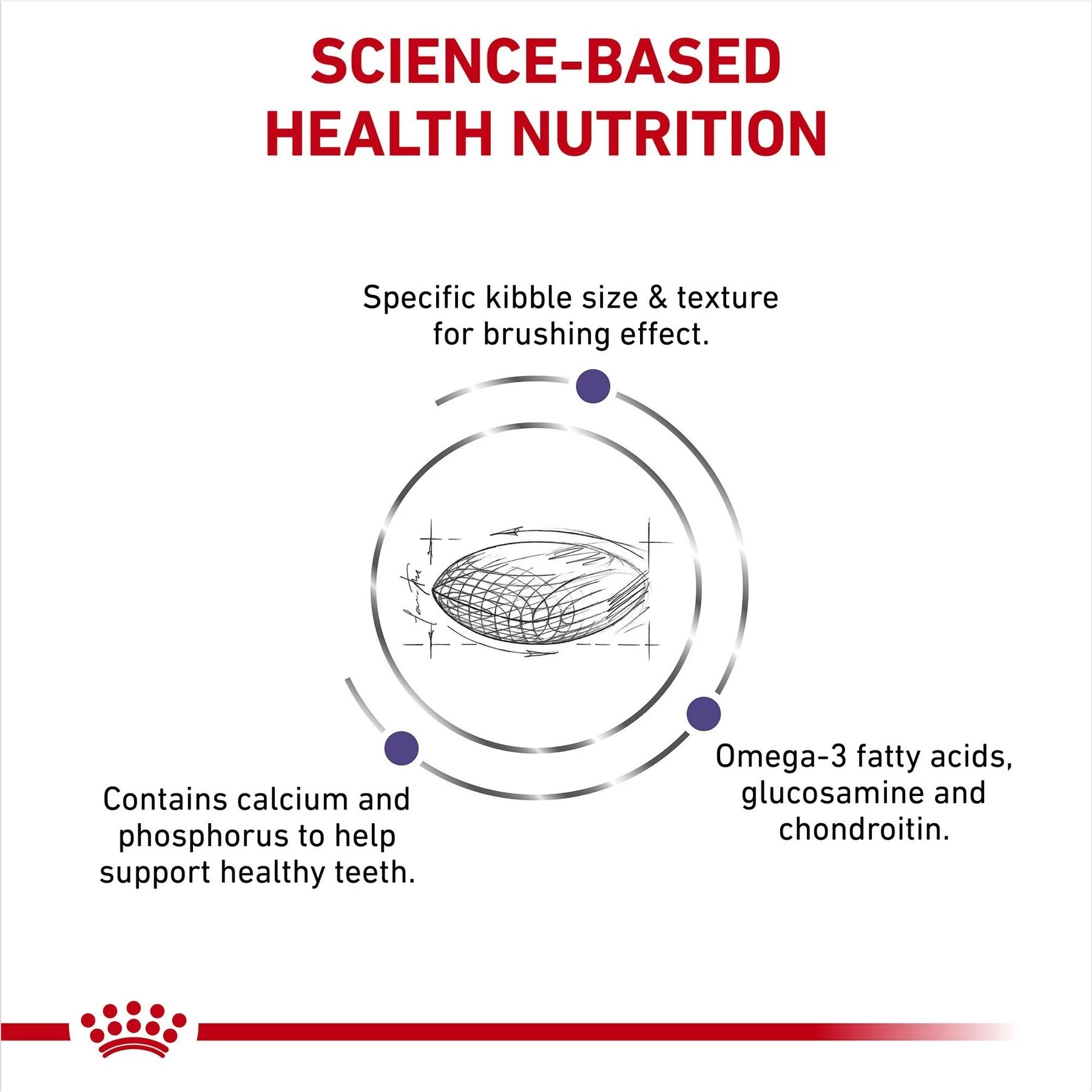 Royal Canin Veterinary Diet Adult Dental Medium & Large Breed Dry Dog Food - Image 4