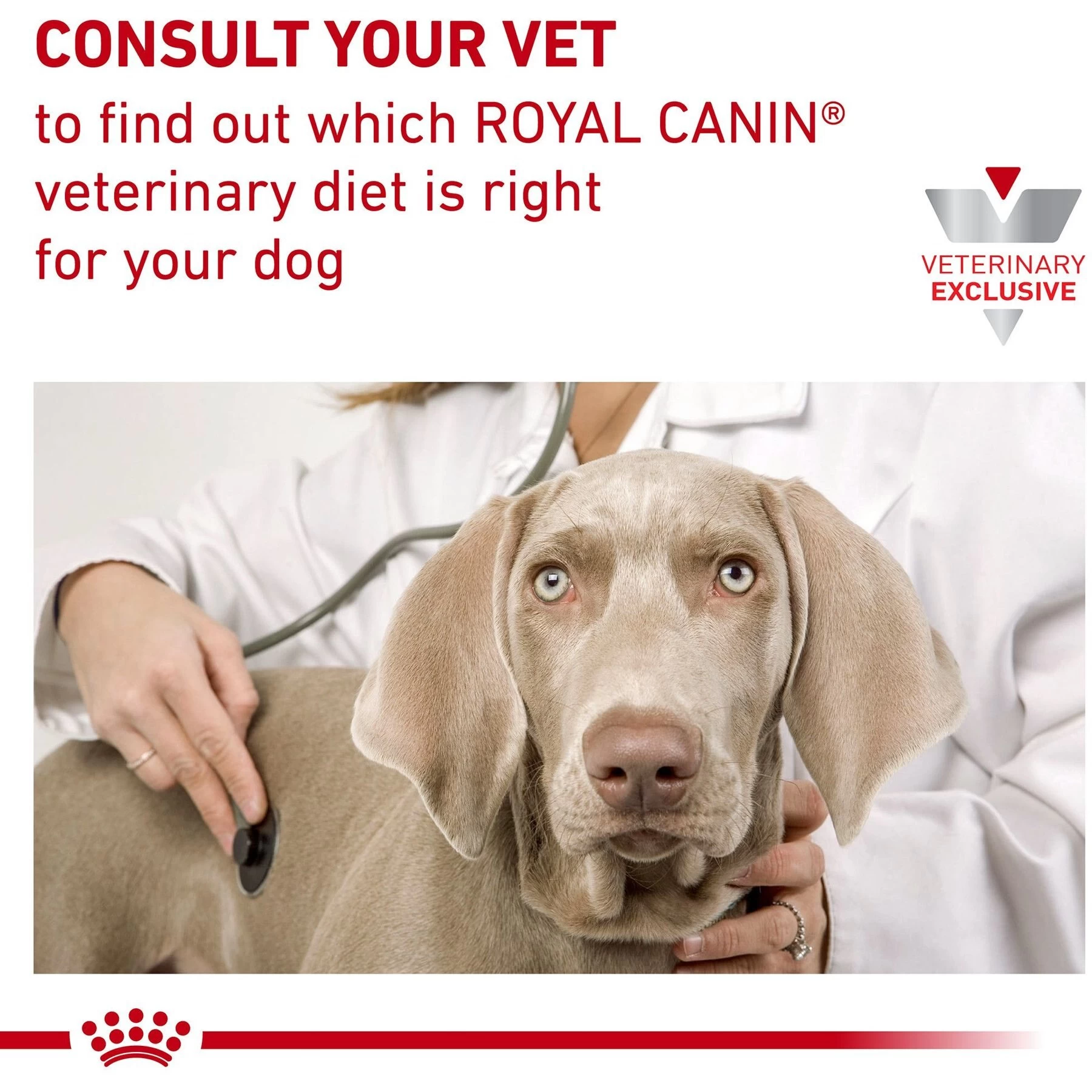 Royal Canin Veterinary Diet Adult Satiety Support Weight Management Small Breed Dry Dog Food - Image 9