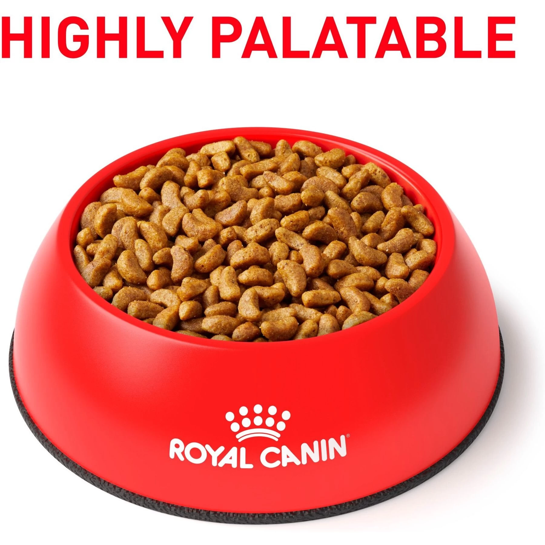 Royal Canin Veterinary Diet Adult Renal Support S Dry Dog Food - Image 3