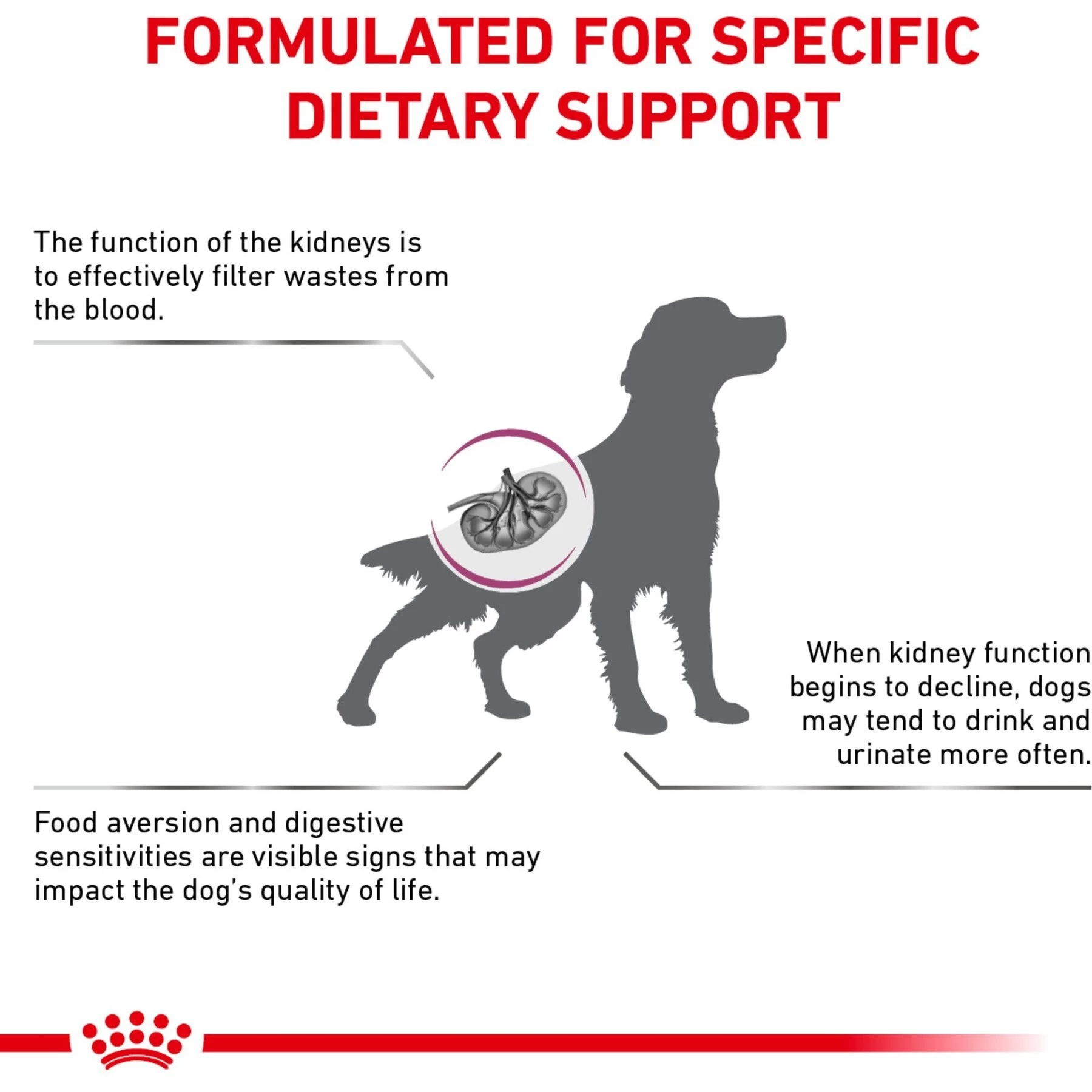 Royal Canin Veterinary Diet Adult Renal Support S Dry Dog Food - Image 6
