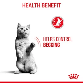 Royal Canin Adult Appetite Control Wet Cat Food Pouches In Gravy - 12 X 85g By Royal Canin - Image 4