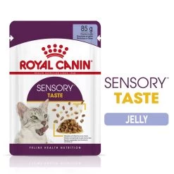 Royal Canin Adult Sensory Taste In Jelly Wet Cat Food Pouches - 12 X 85g By Royal Canin