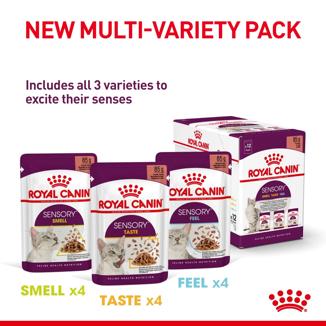 Royal Canin Adult Sensory Taste In Jelly Wet Cat Food Pouches - 12 X 85g By Royal Canin - Image 6