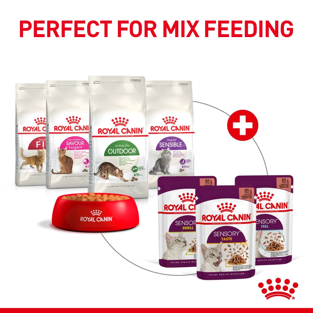 Royal Canin Adult Sensory Taste In Jelly Wet Cat Food Pouches - 12 X 85g By Royal Canin - Image 7