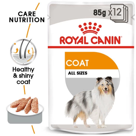 Royal Canin Coat Care Wet Pouches Adult Dog Food - 12 X 85g By Royal Canin