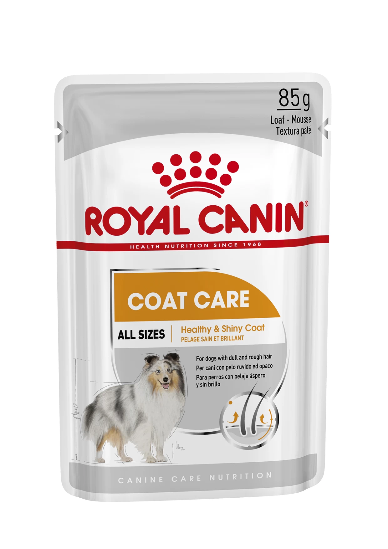 Royal Canin Coat Care Wet Pouches Adult Dog Food - 12 X 85g By Royal Canin - Image 2