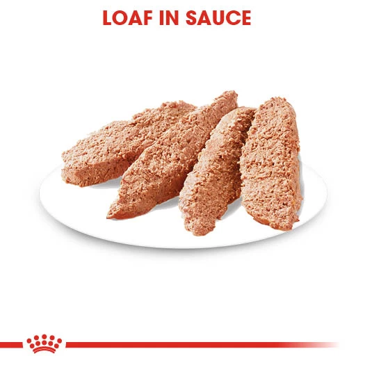 Royal Canin Coat Care Wet Pouches Adult Dog Food - 12 X 85g By Royal Canin - Image 4