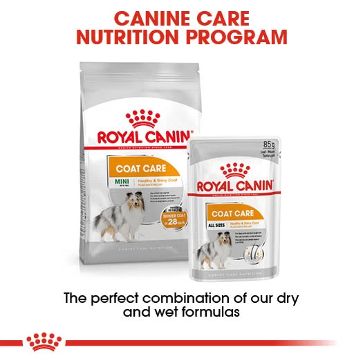 Royal Canin Coat Care Wet Pouches Adult Dog Food - 12 X 85g By Royal Canin - Image 6