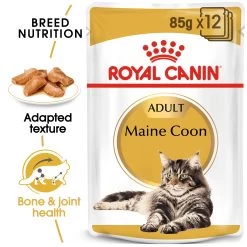Royal Canin Feline Adult Maine Coon Wet Cat Food Pouches In Gravy - 12 X 85g By Royal Canin