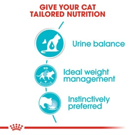 Royal Canin Feline Care Nutrition Urinary Care Wet Cat Food In Gravy - 48x85g By Royal Canin - Image 3