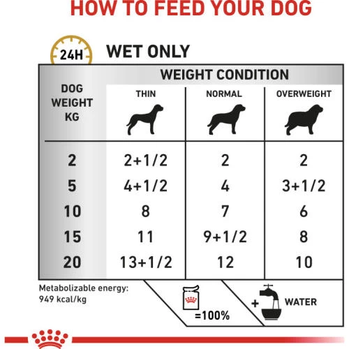 Royal Canin Veterinary Diets Urinary SO Ageing 7+ In Loaf Wet Dog Food - Image 4