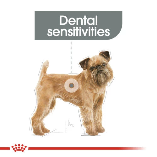 ROYAL CANIN Mini Dental Care Adult Dry Dog Food - Image 3