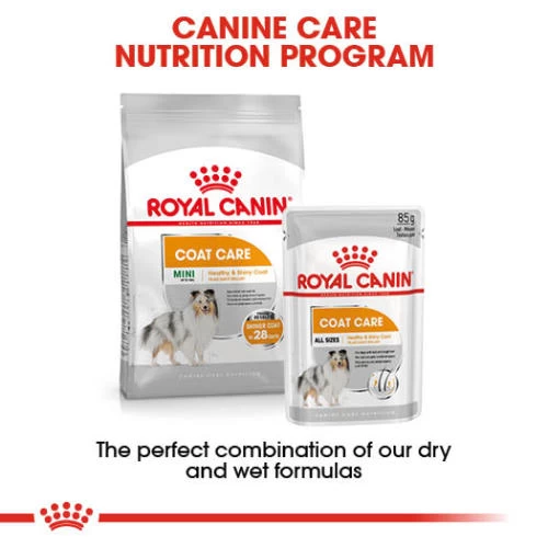 Royal Canin Coat Care Wet Adult Dog Food Pouches - Image 6
