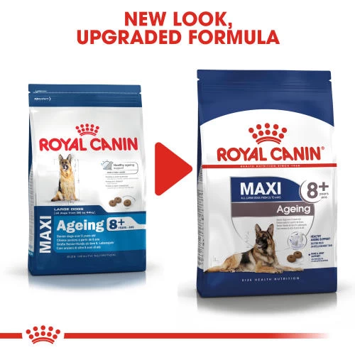 Royal Canin Maxi Adult Ageing 8+ Dry Senior Dog Food - Image 3