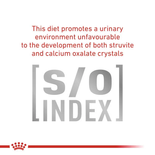 Royal Canin Veterinary Diets Diabetic Special Wet Adult Dog Food - Image 3