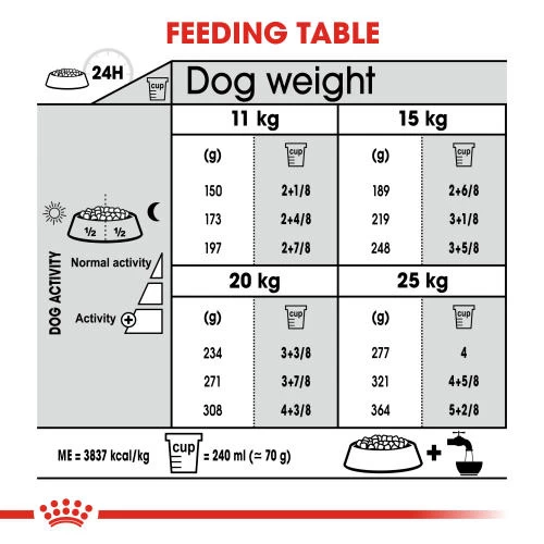 ROYAL CANIN Medium Dental Care Adult Dry Dog Food - Image 5