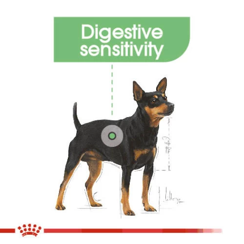 Royal Canin Digestive Care Wet Adult Dog Food Pouches - Image 2