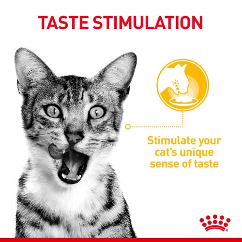 Royal Canin Sensory Taste In Gravy Wet Adult Cat Food - Image 6