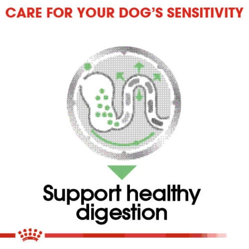 Royal Canin Digestive Care Wet Adult Dog Food Pouches - Image 4