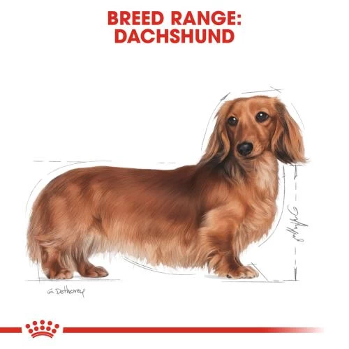 Royal Canin Dachshund Wet Adult Dog Food Pouches - Image 3