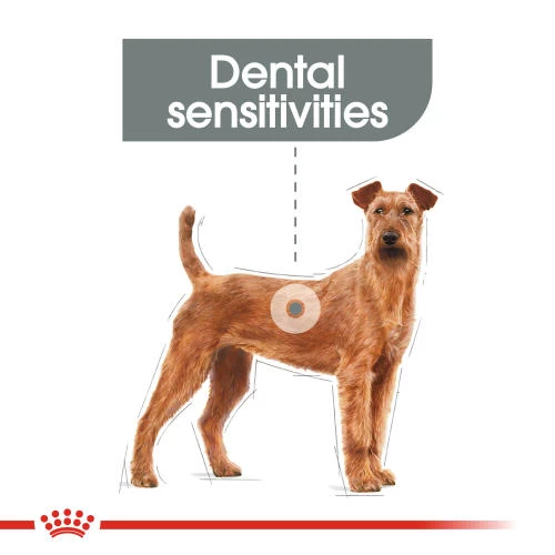 ROYAL CANIN Medium Dental Care Adult Dry Dog Food - Image 2