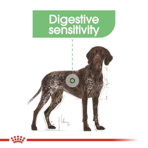 Royal Canin Maxi Digestive Care Dry Adult Dog Food - Image 3