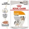 Royal Canin Coat Care Wet Adult Dog Food Pouches
