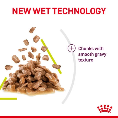 Royal Canin Sensory Smell In Gravy Wet Adult Cat Food - Image 4
