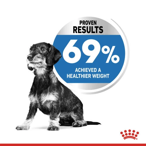 Royal Canin X-Small Light Weight Care Dry Adult Dog Food - Image 2