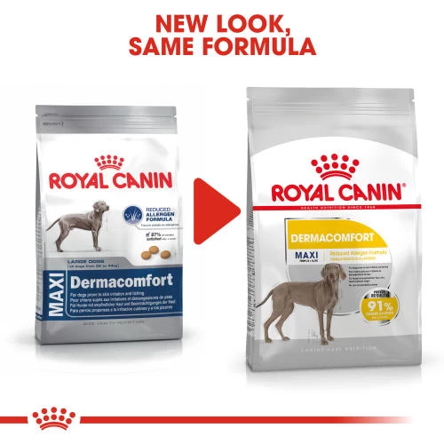 Royal Canin Maxi Dermacomfort Adult Dry Dog Food - Image 2
