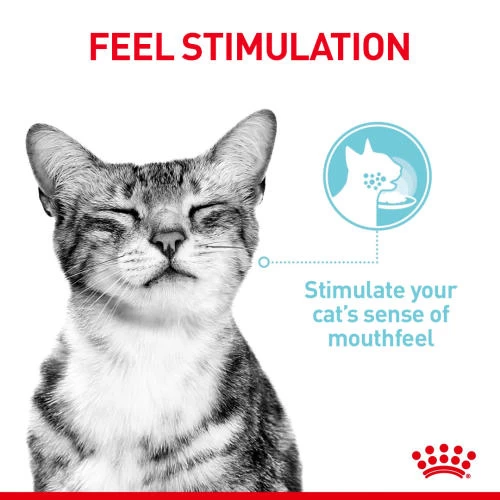 Royal Canin Sensory Feel In Gravy Wet Adult Cat Food - Image 6