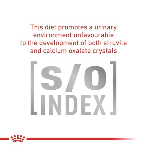 Royal Canin Veterinary Diets Early Renal In Gravy Wet Adult Cat Food - Image 4